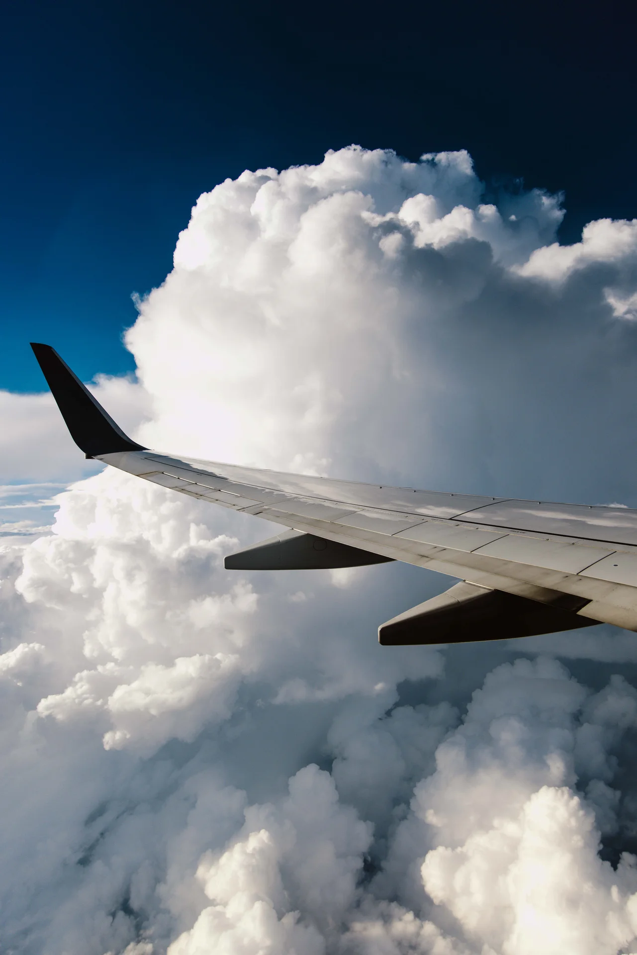 From Above - photo 11 of 79